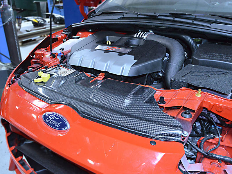 Карбоновая панель радиатора Agency Power для Ford Focus 3 ST