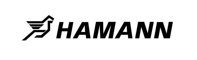 Обвес Hamann Tycoon Evo M для BMW X6 и X6M (E71)