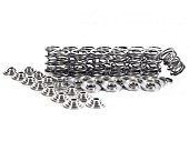Двойные пружины SuperTech Nissan SR20VE 2.0 Lts DOHC (2)